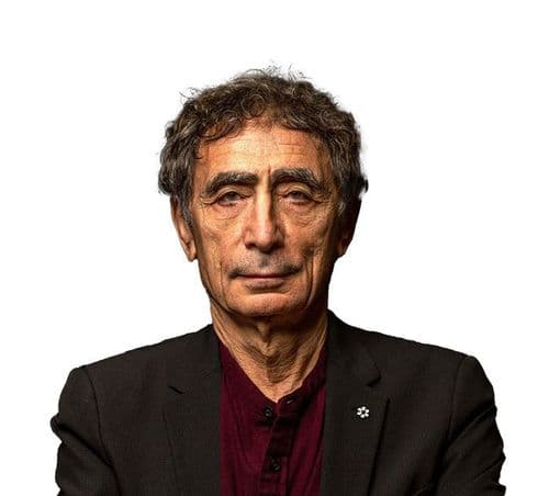 Gabor Maté – Wisdom of Trauma: 8-Module-Programm